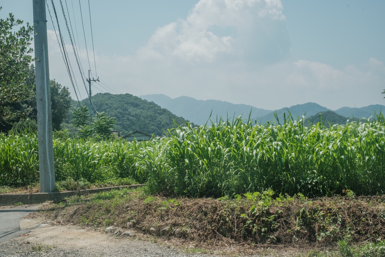 さぬき市の里山風景